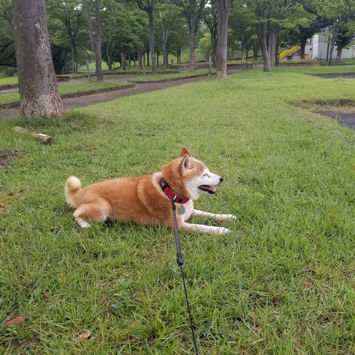 D6ca70bd 9b45 4509 bcf2 45c63044a2fa 1725004975164