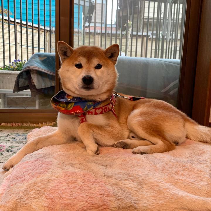 D6ca8e35 12b4 4827 8749 9df2846b7976 1581505805349