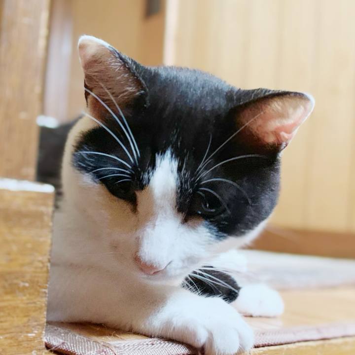 D6caada8 8539 4cc8 b961 1e27fb7a8790 1596850783463