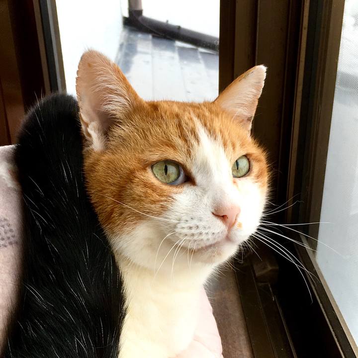 D6cab581 f514 441d 9ceb 18d2518e85e8 1615781927204