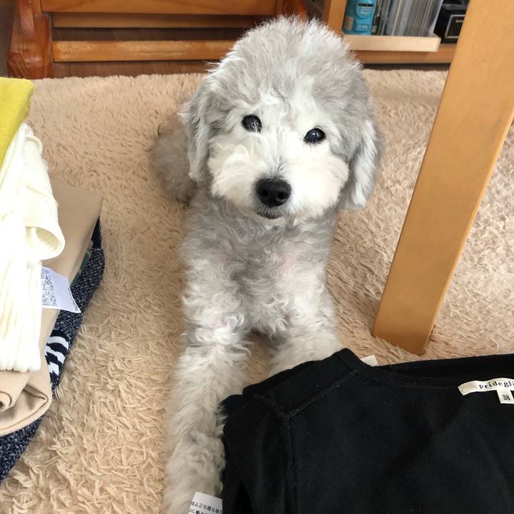 D6cada9e de06 43c2 9056 a8bfbca3c37e 1573098932652