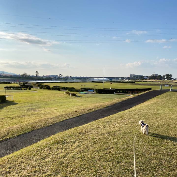 D6cb0794 e9b9 4a88 9717 4e97318ebae0 1587642714801