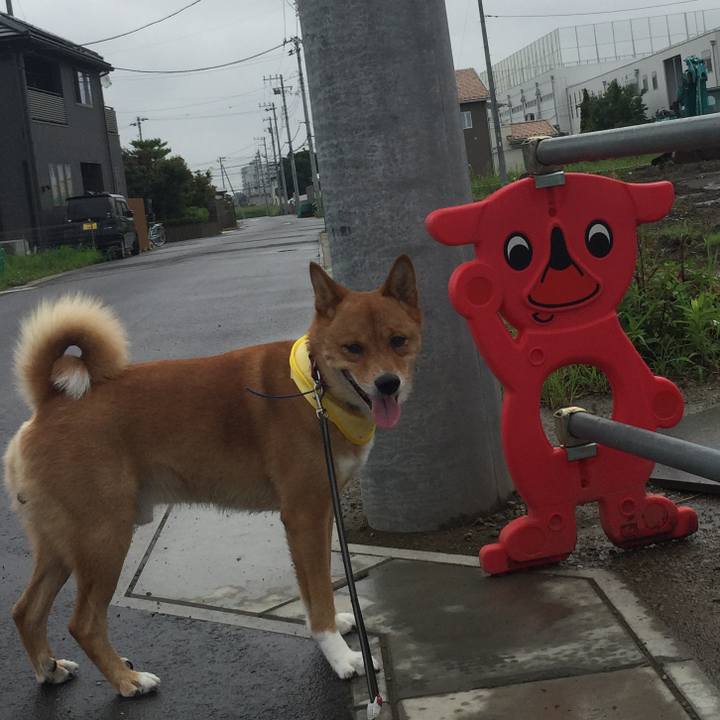 D6cb2f51 7eb3 4f52 bd15 0cf07eeaf81c 1598153405124