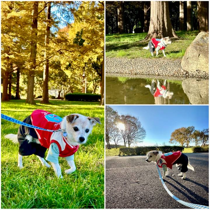 D6cb3652 2c12 49ca 98e8 683f3193751f 1732359612687