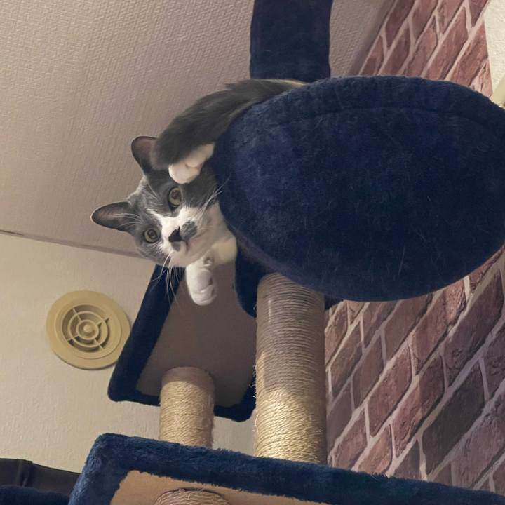 D6cb6974 e291 45a5 8c95 157b89df1132 1672418544506