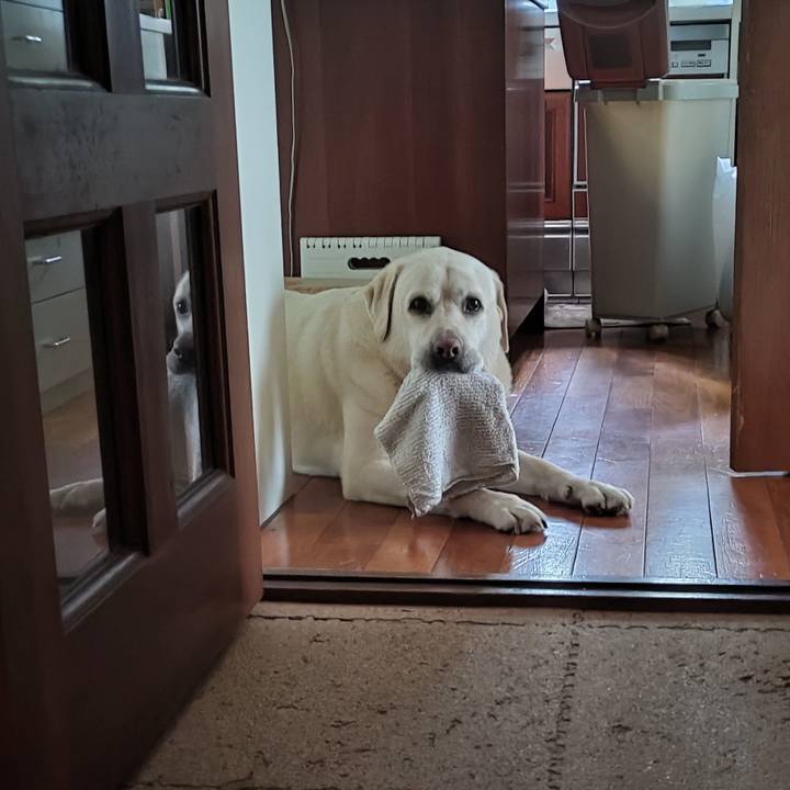 D6cb69c4 ee2e 42d1 8d83 5ae8db73cebd 1719533688000