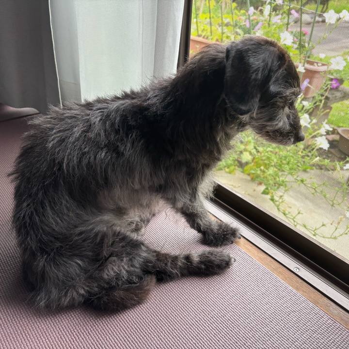 D6cb6dc5 3bc6 48de b618 177289a6e87b 1751411777855