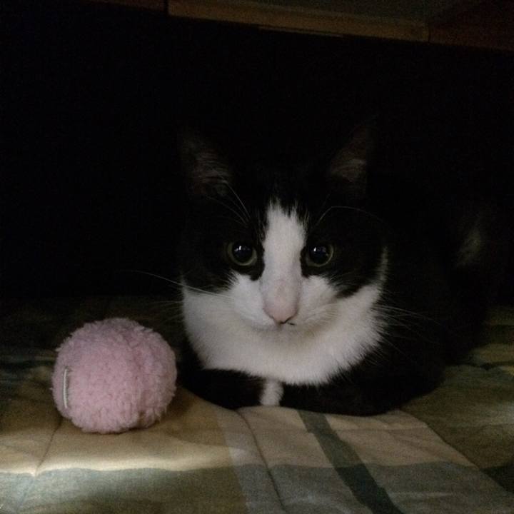 D6cb70f1 59b8 4a60 9694 9bc7ab1bbc58 1511787149403