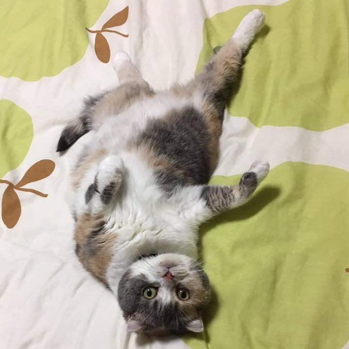 D6cb91b4 9d16 4d4f 9b09 8d5943924852 1558265896233