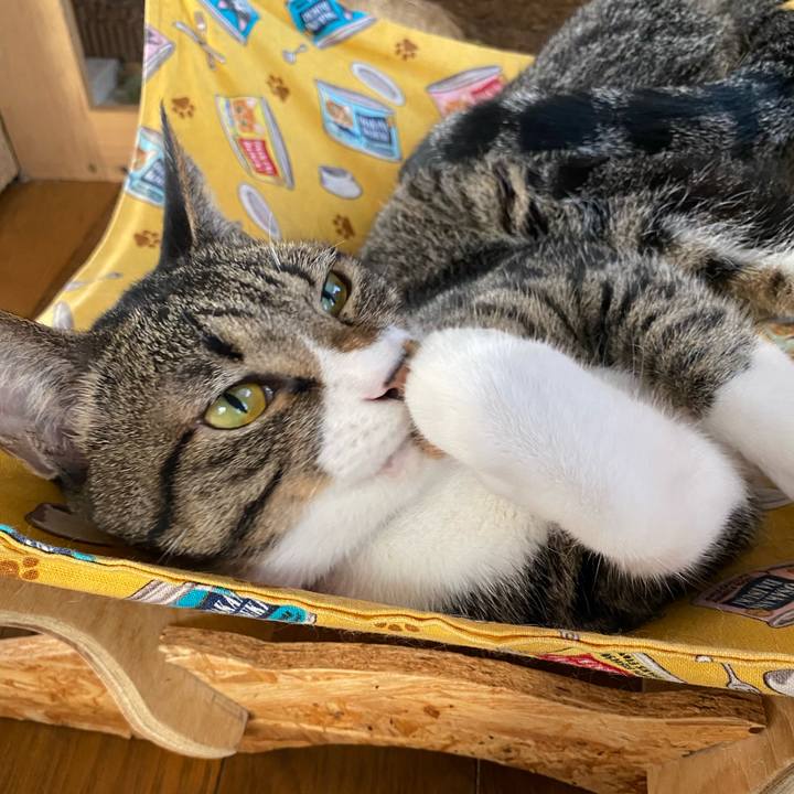 D6cbacda 7bce 4f0d ac54 4b27968575f8 1663805703594