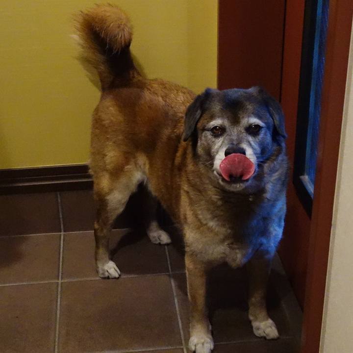 D6cbfa54 46c4 418e bfcd efbaa2deee68 1558697355960