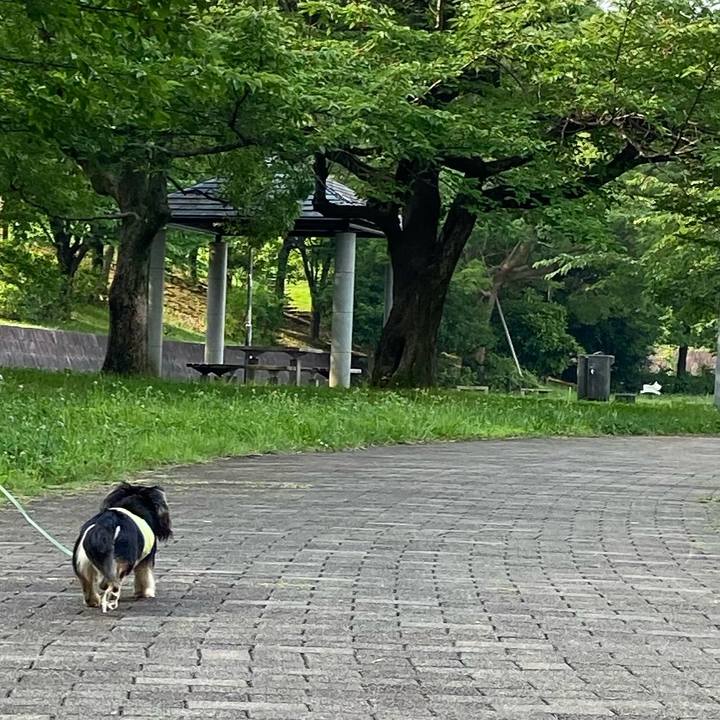 D6cbfd97 87f5 44b6 8d3b 23881e0720ce 1687907992089