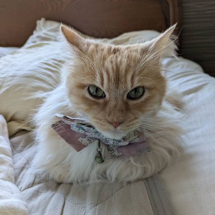 D6cc08a1 73ec 4eb3 b738 42aa1f230d22 1745971622692