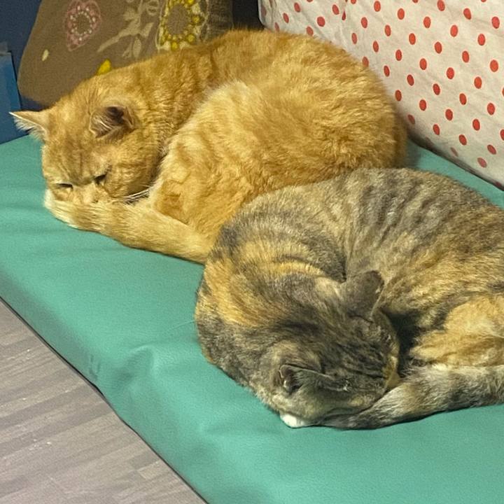 D6cc1fa4 d606 4213 b64d ea6ad2ccc975 1616681804280