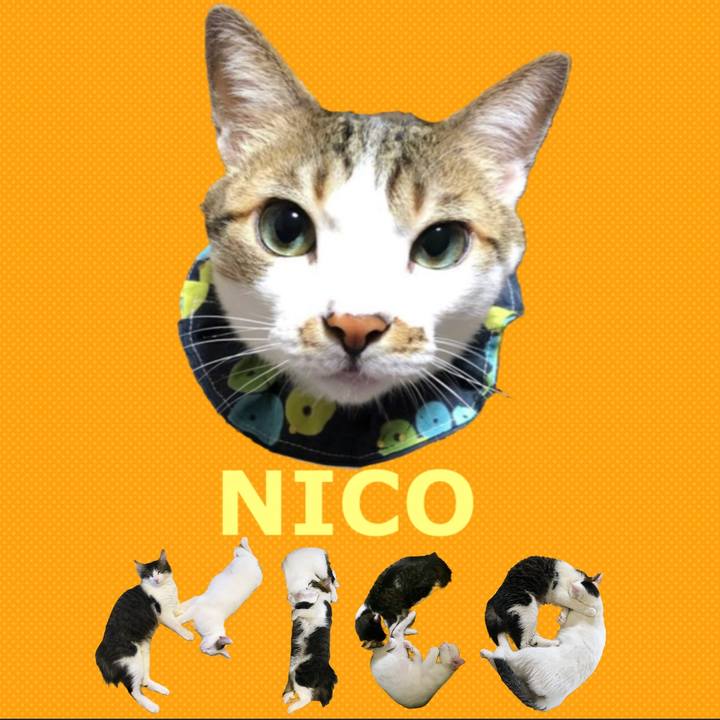 D6cc3160 f76d 4e9e a818 d8ed51175e88 1667688851503