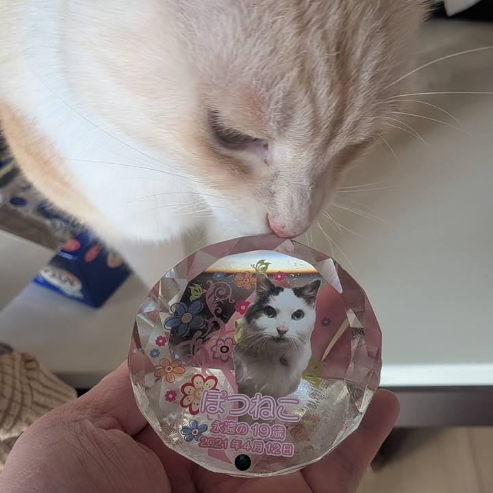 D6cc6b37 f582 4b46 b36b f3d1c4f866a2 1767142902475