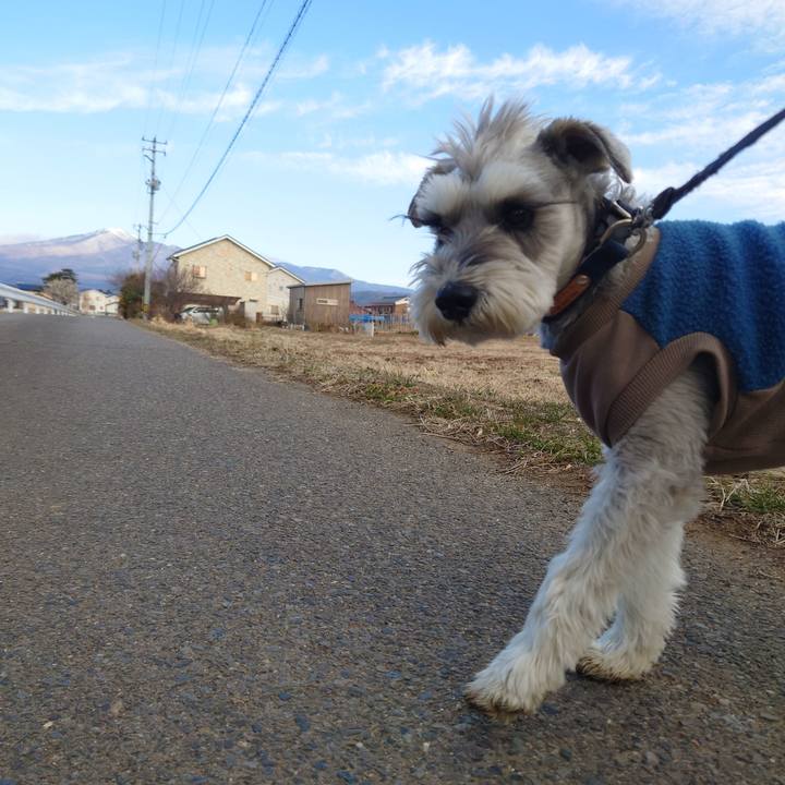 D6cca8de 006f 4698 9f15 b71a503a1441 1773703704810