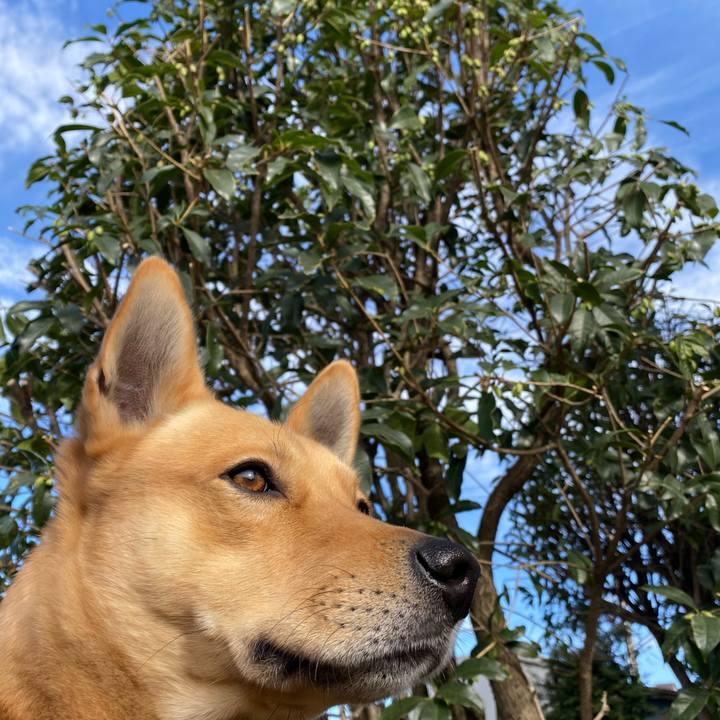 D6ccbab0 c787 4eab bdea c18a210371fc 1608343540505