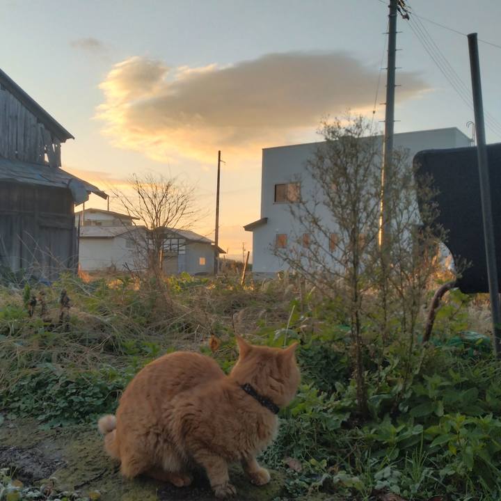 D6ccd11b a2e2 40ac b0e1 408071b2f172 1669362315301