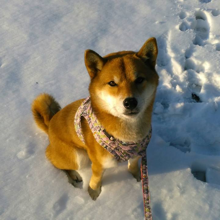 D6cce542 1da9 4752 95de 51b71cdf991b 1516692157312