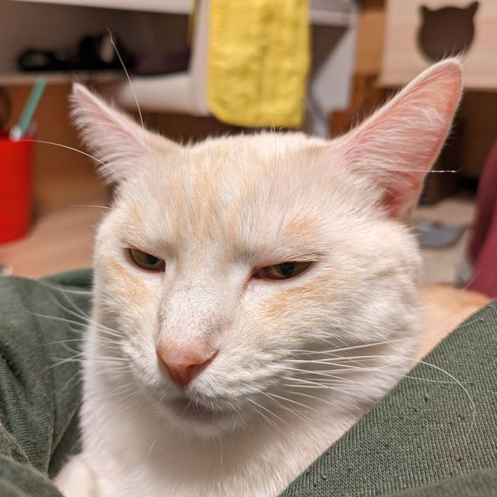 D6ccecb1 2510 4c4b b590 d956b00fac0e 1701421626618