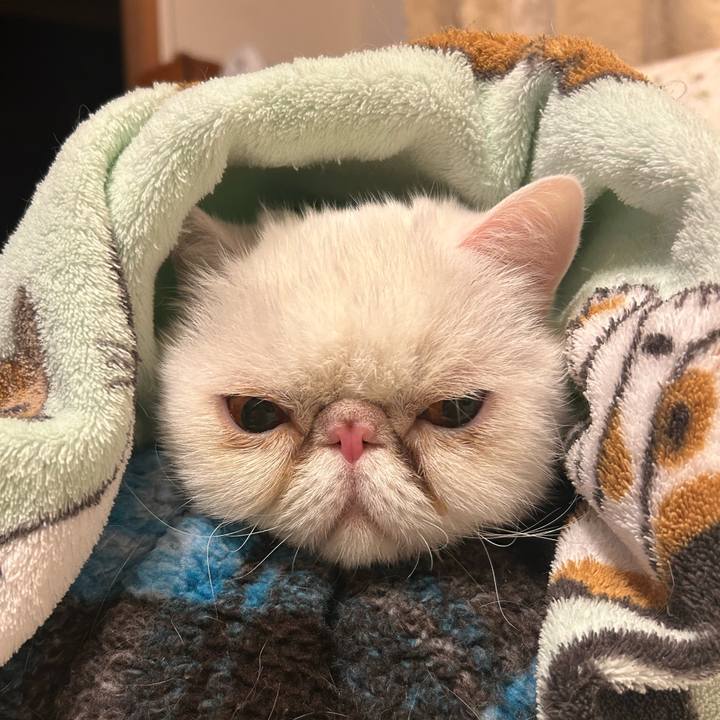 D6ccfc24 5f1d 446a 9505 136fa52d5656 1738935658020