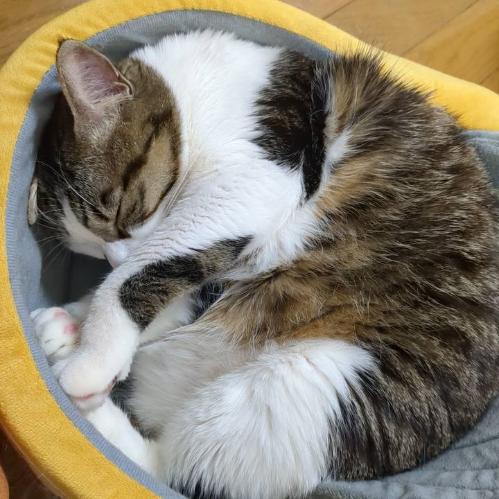 D6cd194f bc58 44a1 88a1 0aabfc074d44 1671683816185