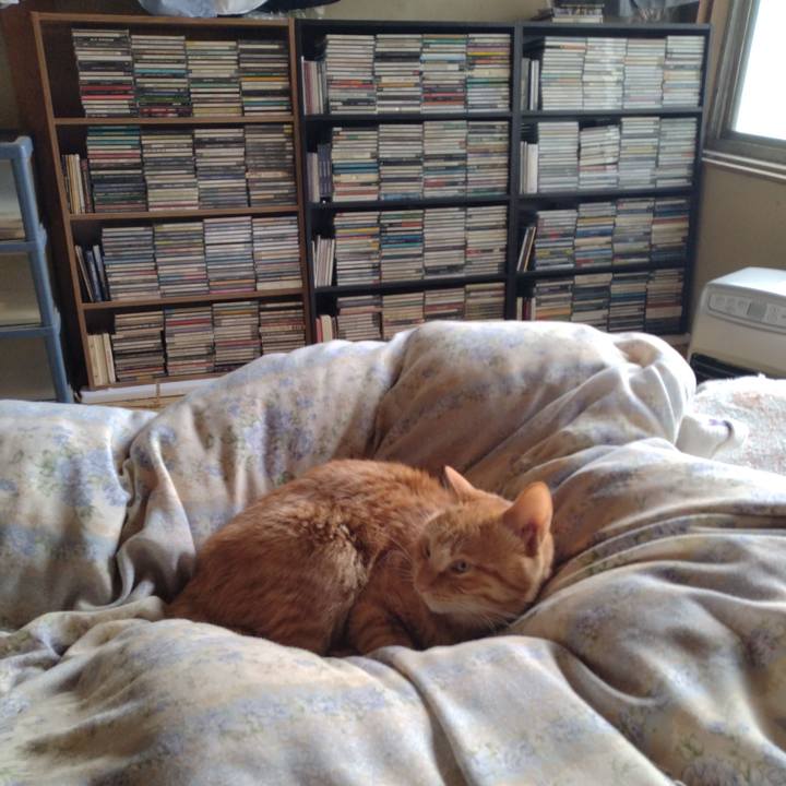 D6cd2575 180e 458e 8dc5 95fa5981f1bb 1666743470174