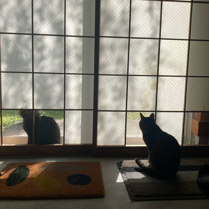 D6cd4a5f 11dc 448f a62f 5721014e5784 1712062891554