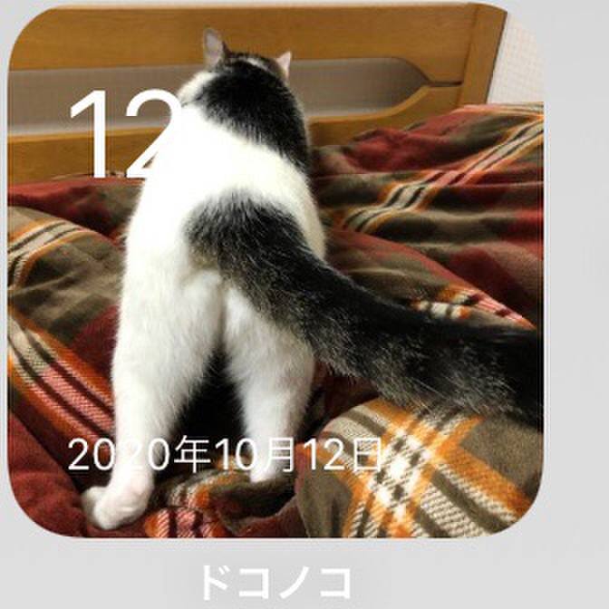 D6cd68cd 7936 4982 8d9f d44179bb75dd 1697121324664