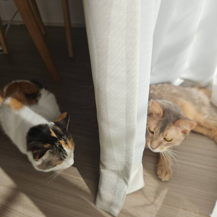 D6cd76b8 5e43 47d3 925d 9e1c43d76576 1769653691700