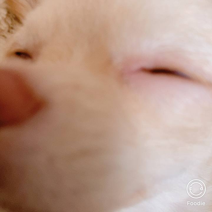 D6cd7abe 2ec2 4940 9aee e7ce01486460 1602474815773