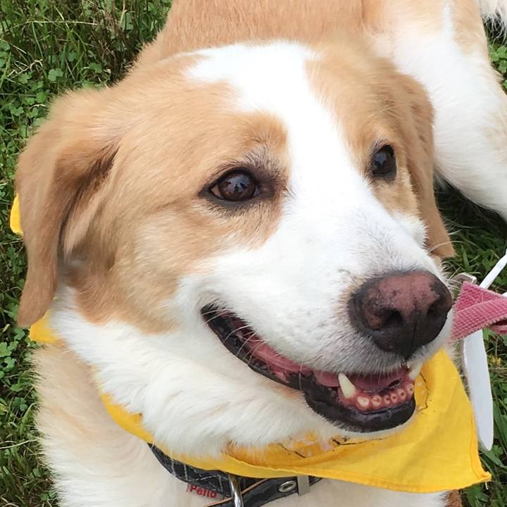 D6cd9cdc d3f3 4eba b9b5 b5b0d8bc9df0 1529725191097