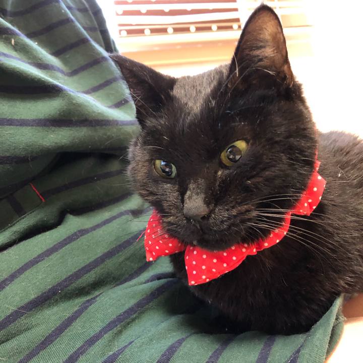 D6cda601 8ded 45ed b0a0 22fe34775912 1554582235249