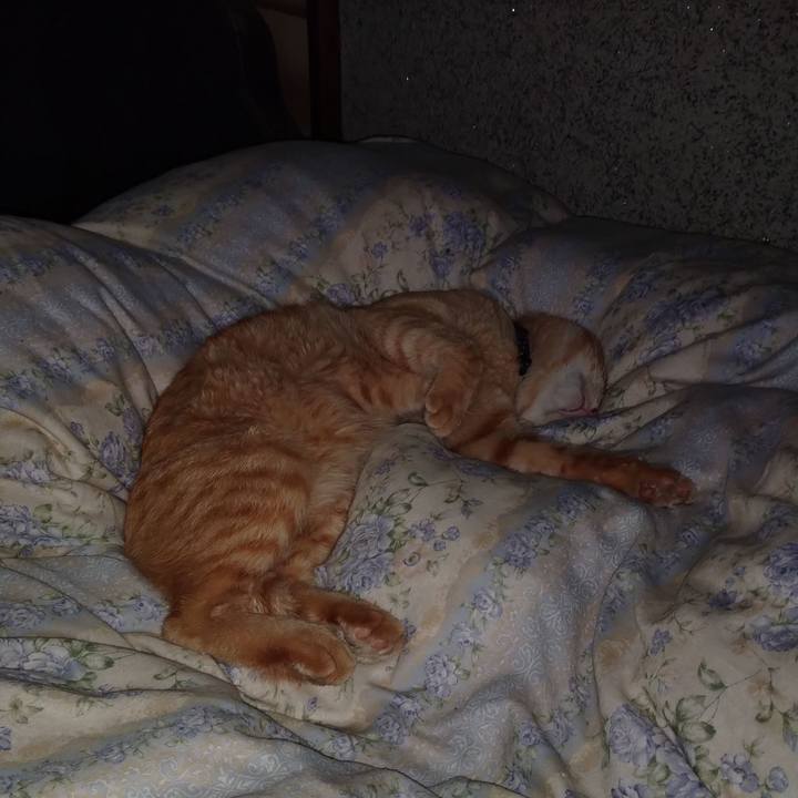 D6cdbfd8 a799 41dd 9f20 c4bb72efd360 1663597482565