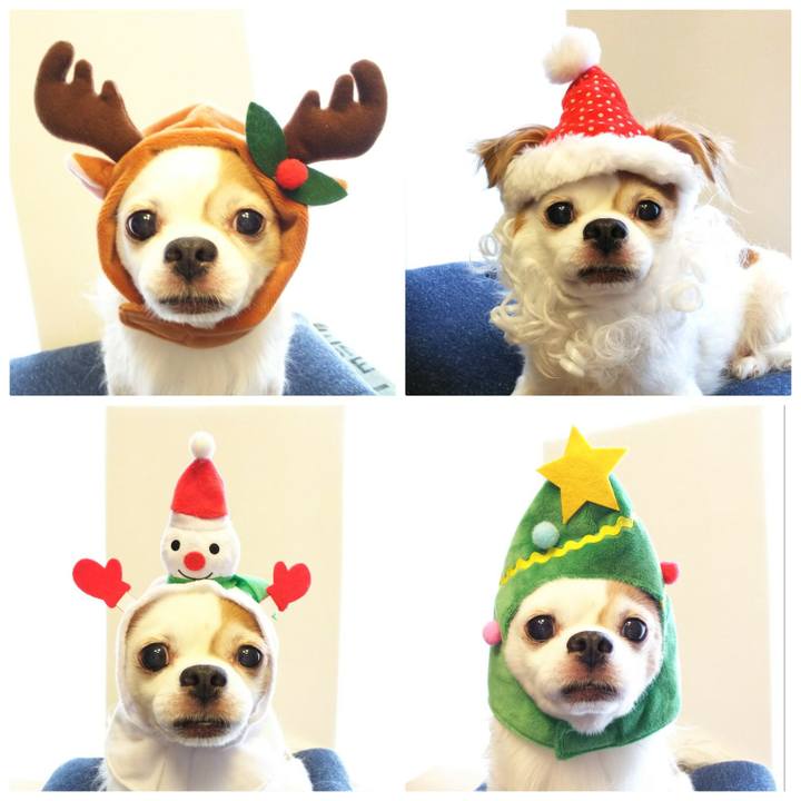 D6cdc047 de27 485e 8473 206239939429 1513667897664