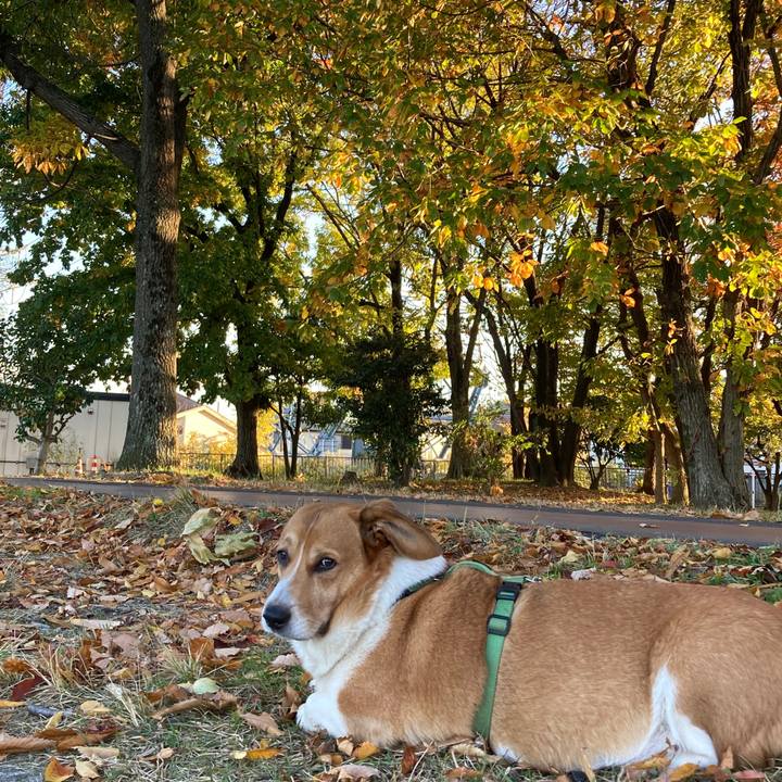 D6cdc33d b02d 4866 9a2f c4dc15bcb1c5 1763617573383