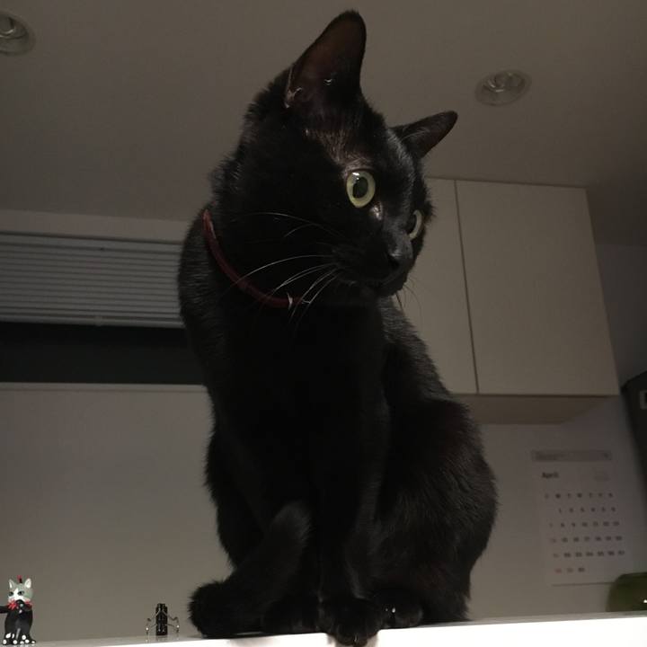 D6cdc3d5 1e1b 4fe1 9abb 073be1278fc1 1554732665406