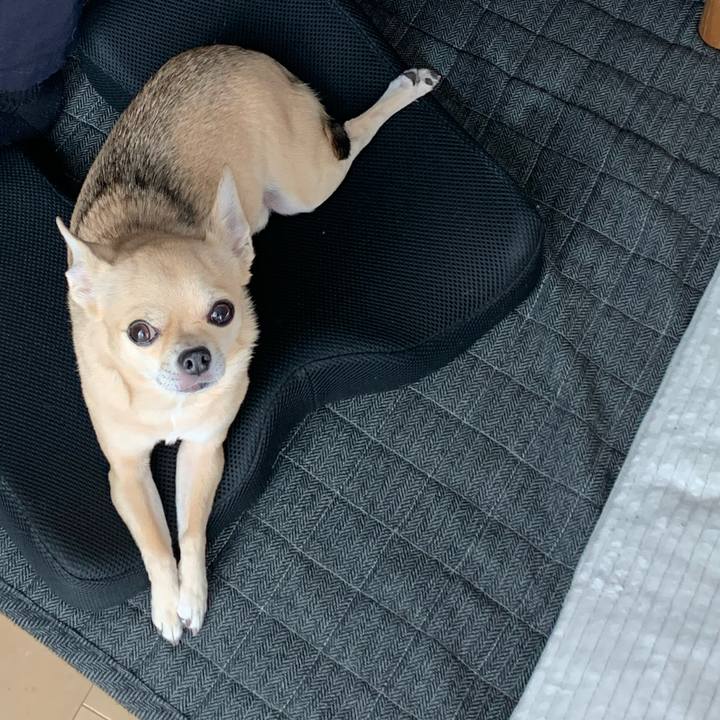 D6cdcc18 30f3 406d 8a9b cd1bada55b21 1635409956063