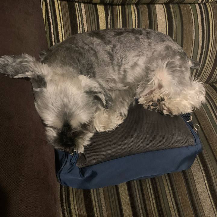 D6cded3a 8a02 4269 9bff 4c40d0347550 1629414011204