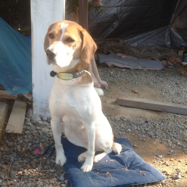 D6cdfe38 5361 46c4 a319 254e9b7cbd68 1612330755244