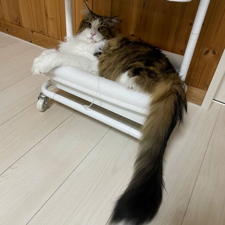 D6ce2413 095a 428a 8bc0 aea7d1bc2f62 1676844089036