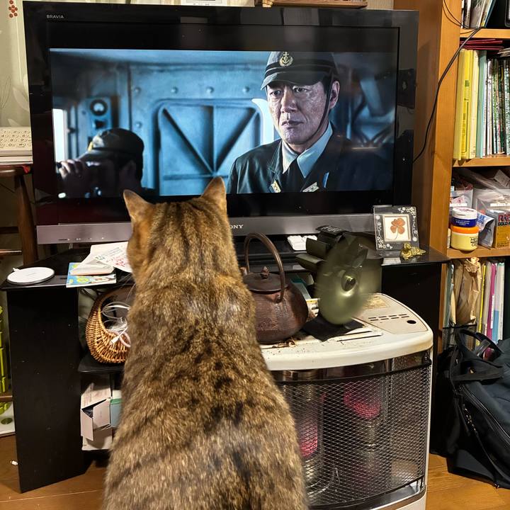 D6ce298a 190f 4e10 bde5 76ca3bfe442c 1769348823923