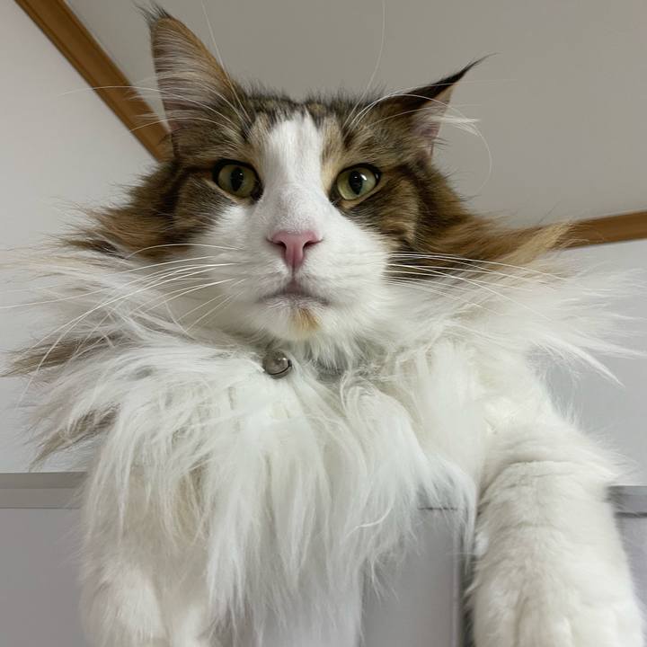 D6ce372c e6c7 4da0 8e5a 953cec0cdf20 1674244808592