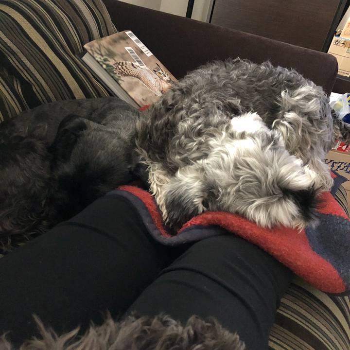 D6ce5a9b 99d0 4196 94d3 0fc74f1bff36 1520661809000