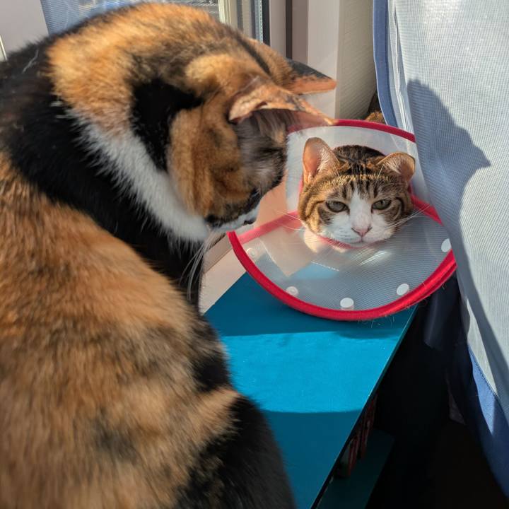 D6ce5e95 c6fd 4ff8 8b1a 341a4ab1cc3a 1763530458536