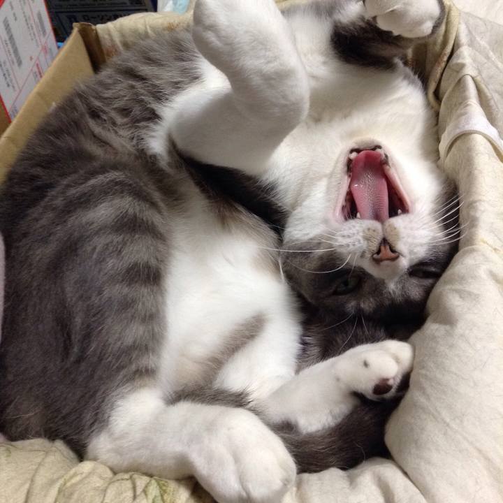 D6ce8124 b849 4698 a520 497a57da493d 1512129020502