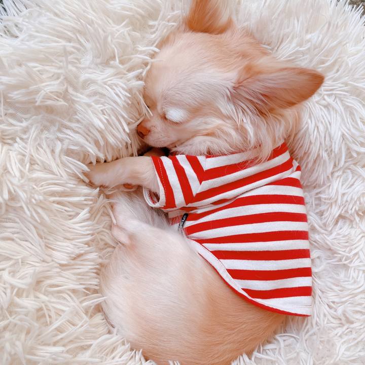 D6ceebc1 82b8 40cc baaf d16db42407ce 1663817863853