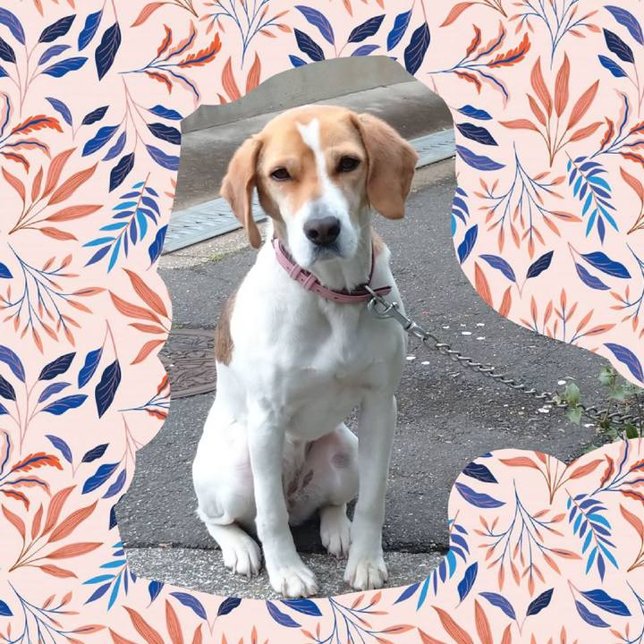 D6cf0552 3f8d 42c4 8fd4 81d0a8bc4ebb 1587182800939