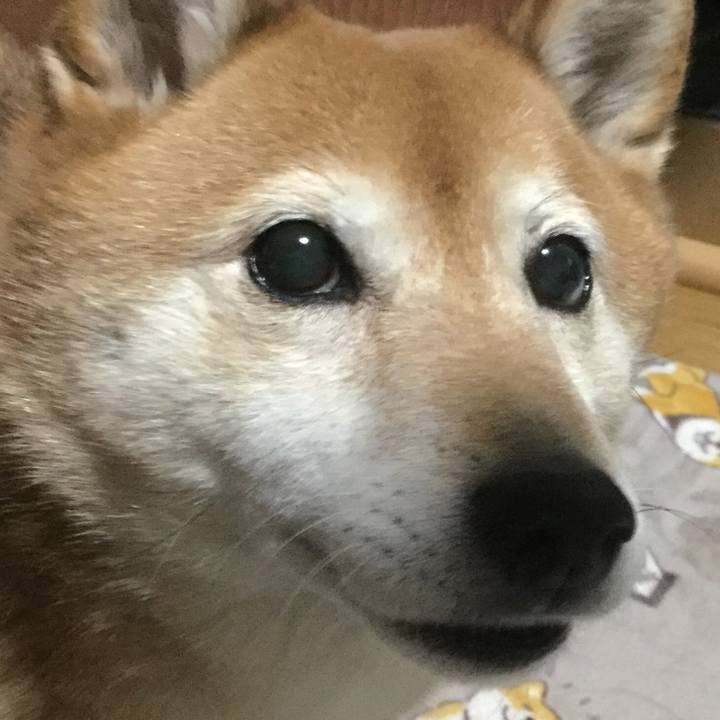 D6cf1398 7ae9 43bf 9374 8047356e9144 1612000267284